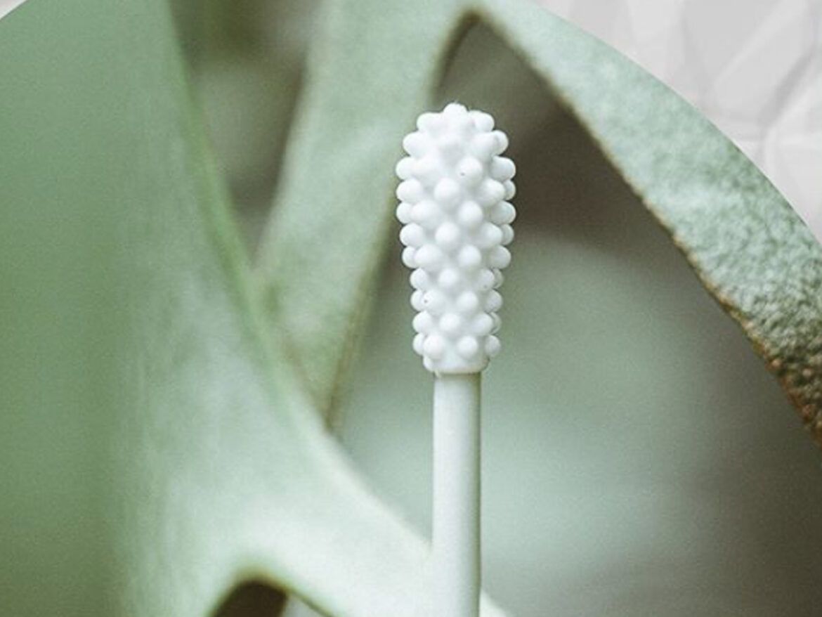 herbruikbaar wattenstaafje