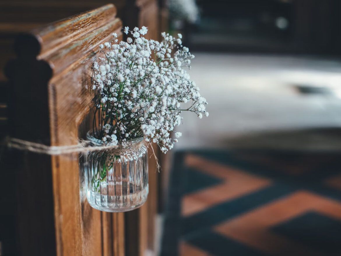 droogbloemen