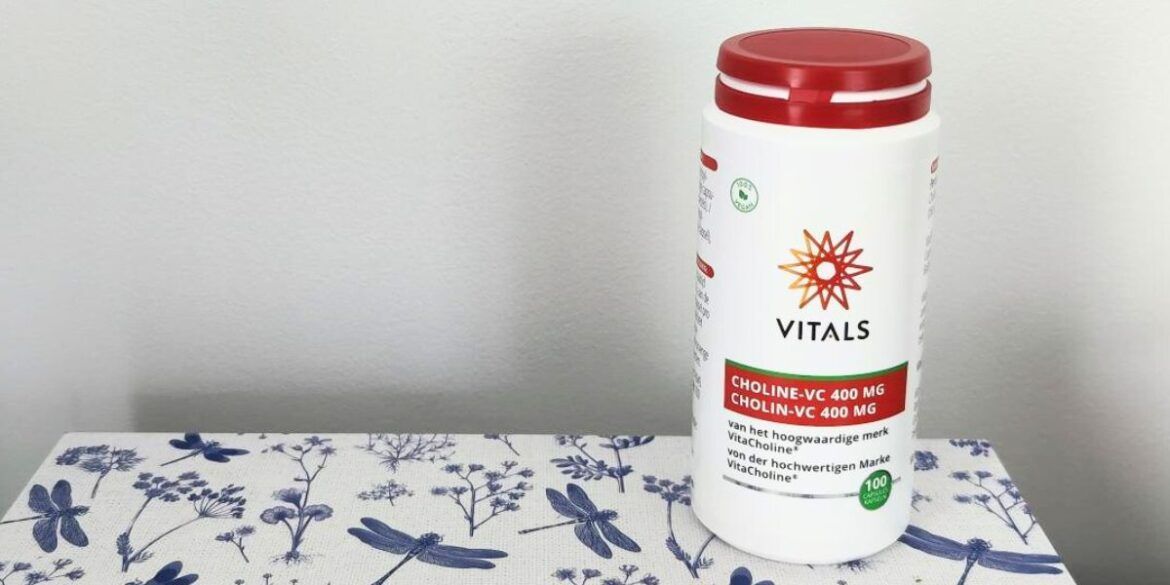beste choline supplement